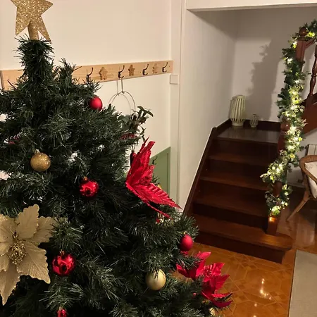 Mies De Sabres سانتيانا ذيل مار